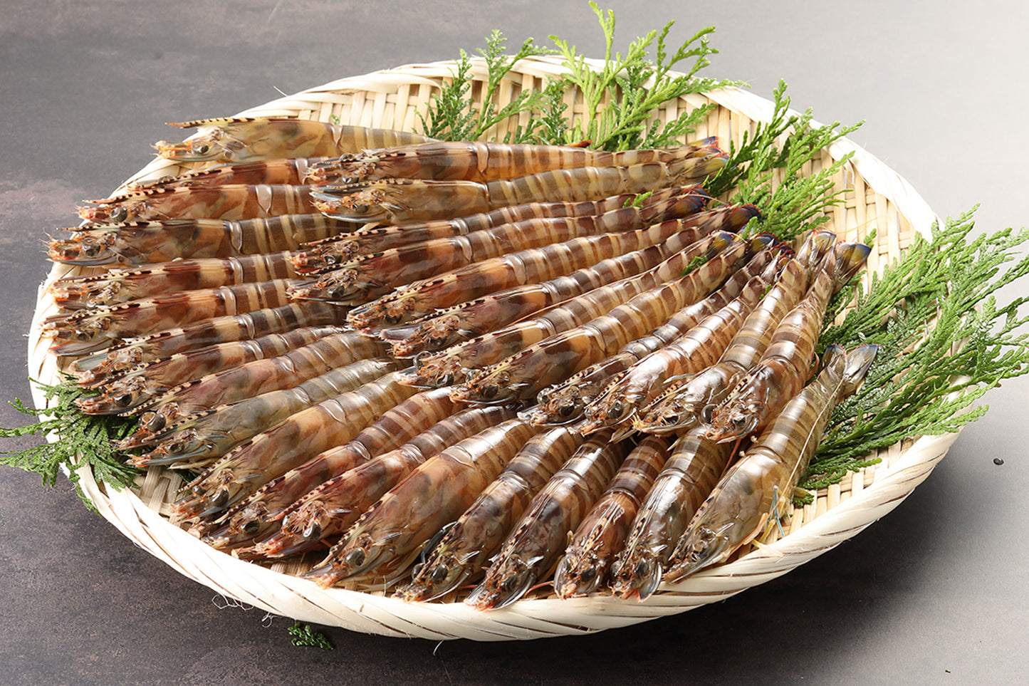 活車海老(養殖) 1kg