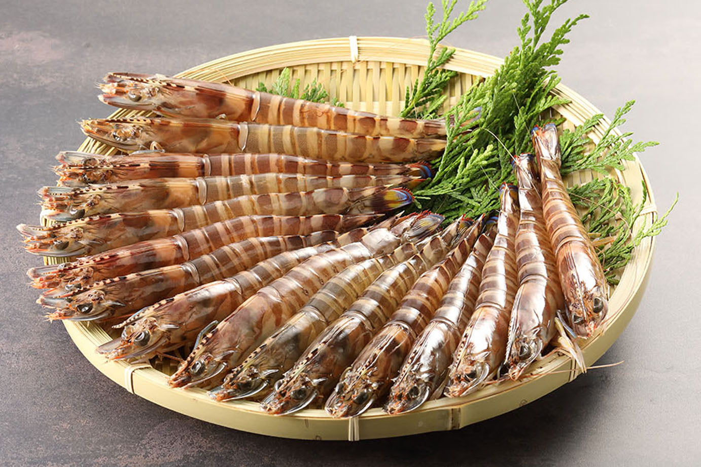 活車海老(養殖) 300g