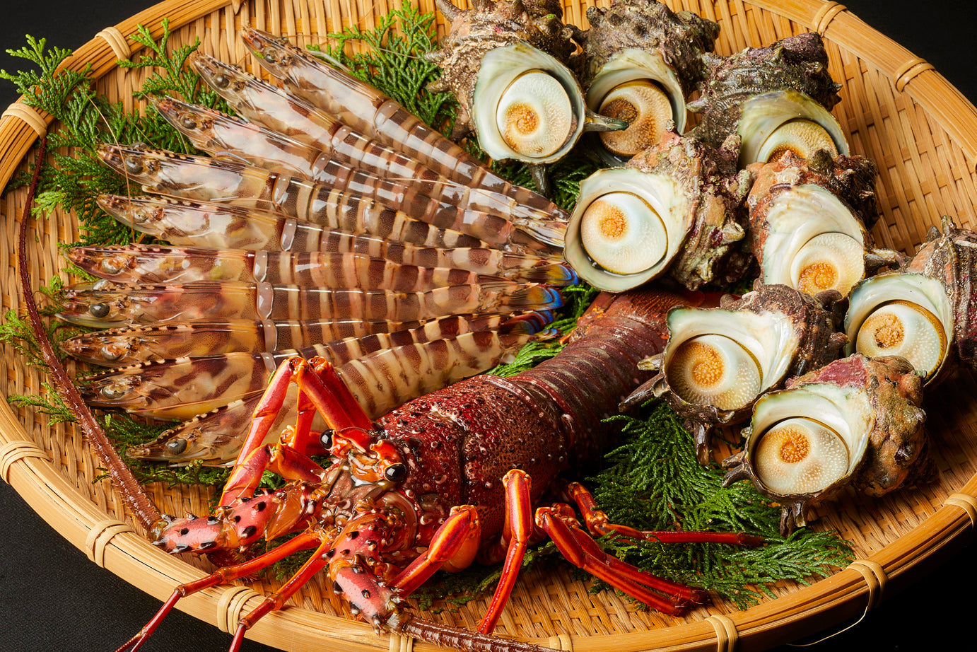 活車海老・活伊勢海老・活サザエセット – 天草フーズ